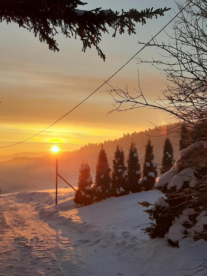 Farm stay Agrowilla Kozlowek